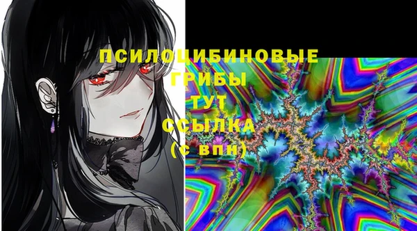 индика Куйбышев