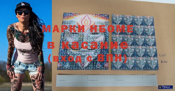 индика Куйбышев