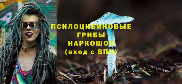 дурь Кулебаки