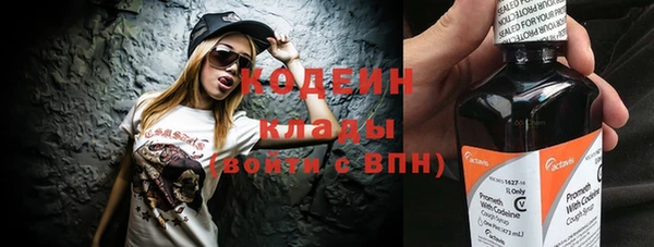 индика Куйбышев