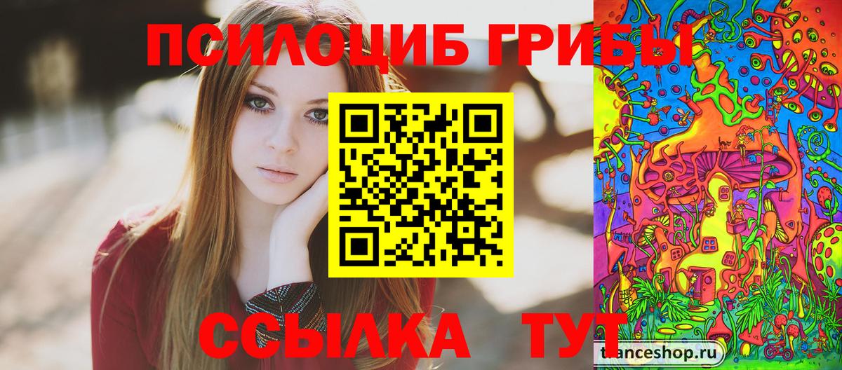Галлюциногенные грибы Psilocybe Усть-Джегута